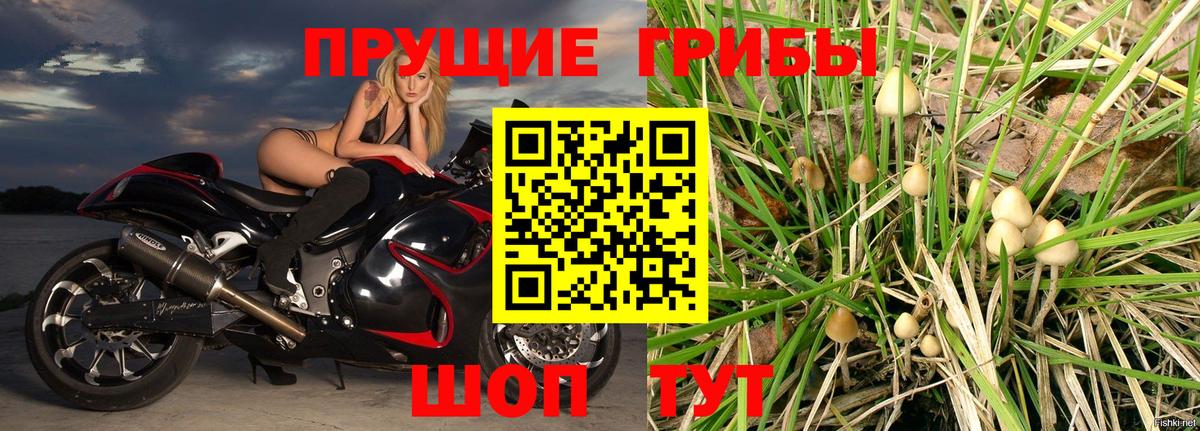 Фурманов  Галлюциногенные грибы MAGIC MUSHROOMS  Псилоцибиновые грибы Magic Shrooms  Вход с VPN 